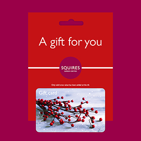 Squire's Gift Card - Berries